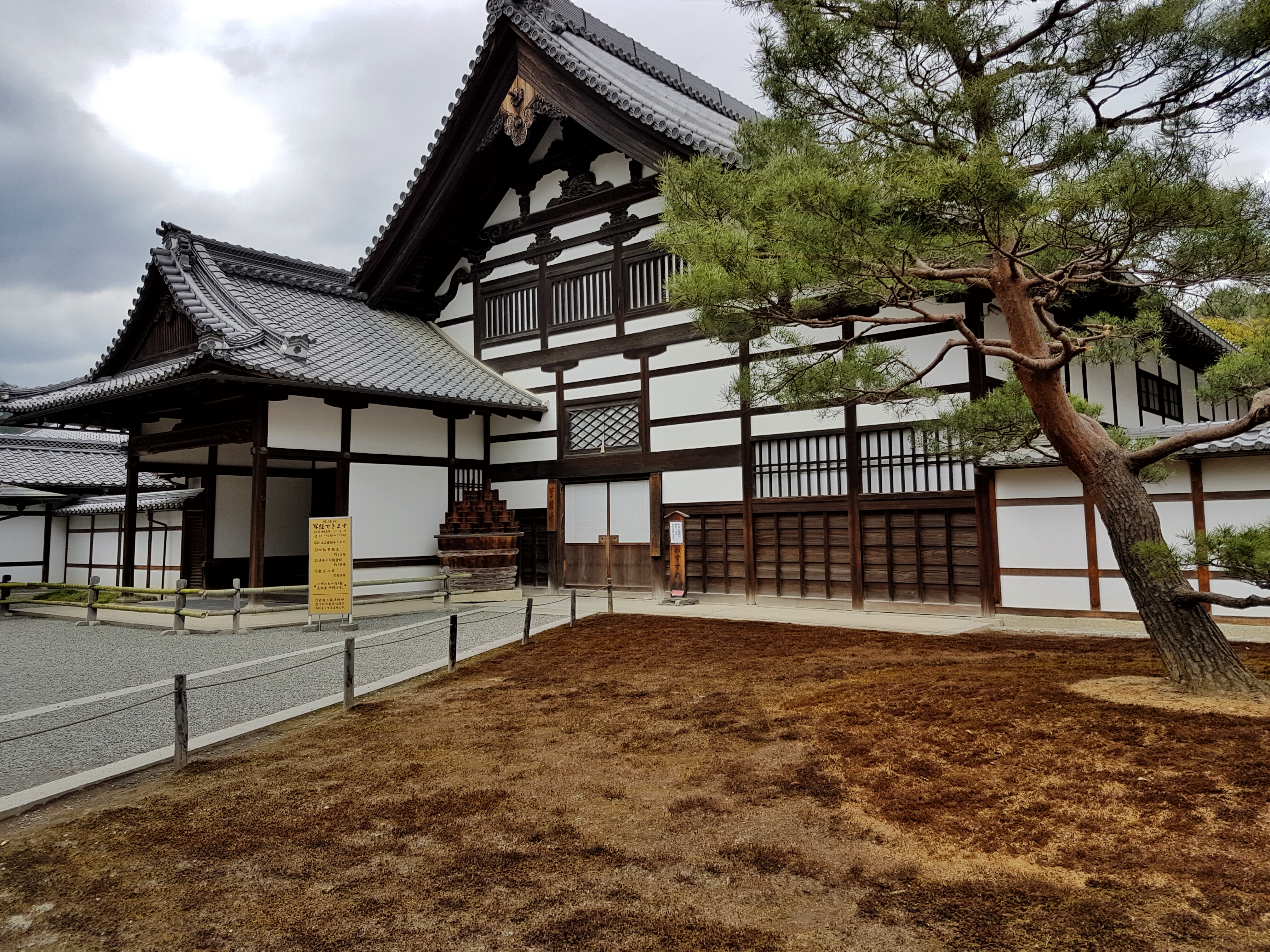 20160402_141538-01[1]