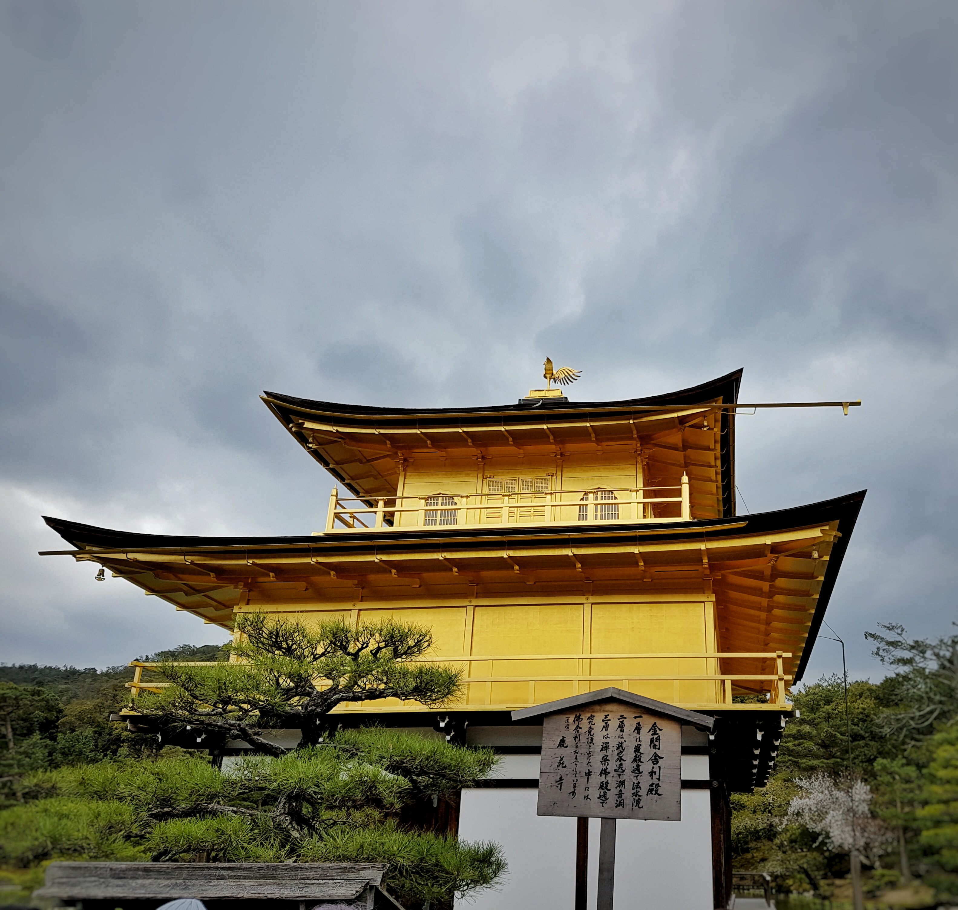 20160402_142448-01[1]