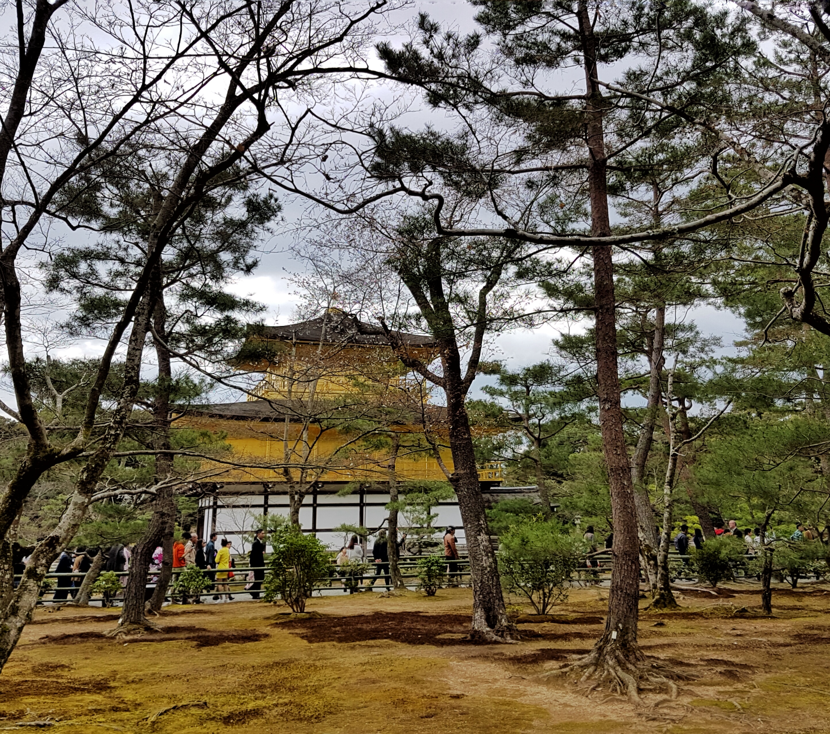 20160402_143528-01[1]