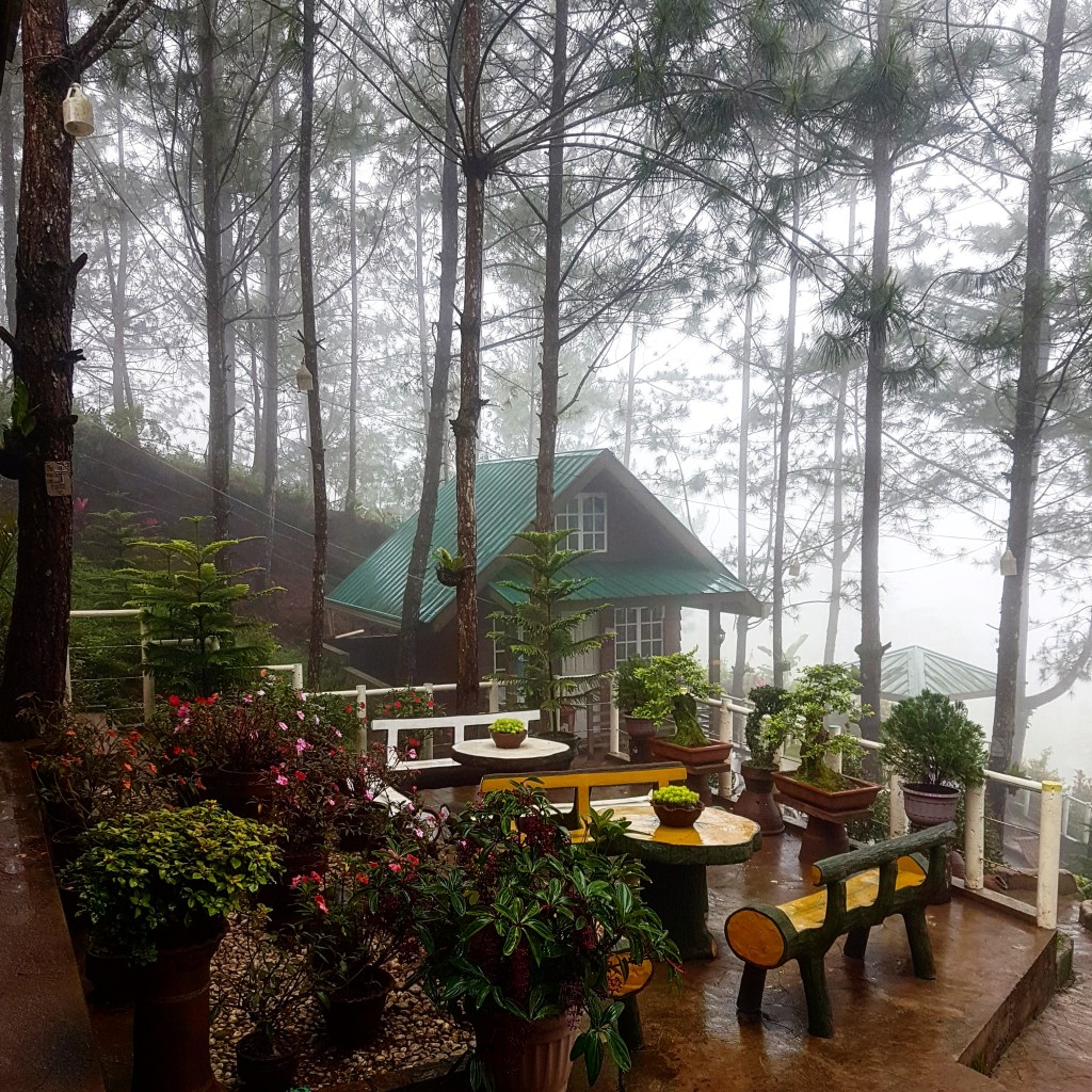 Highway 81: A Short Escape from the Bustling City Life