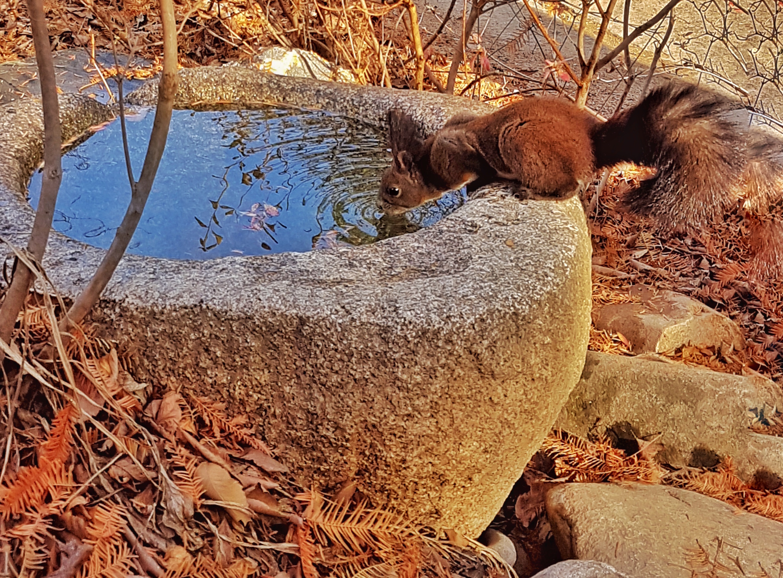 20161123_110104-011