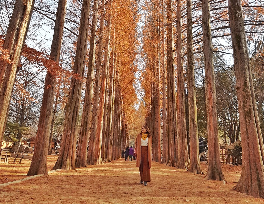 I left my Heart in Nami&nbsp;Island