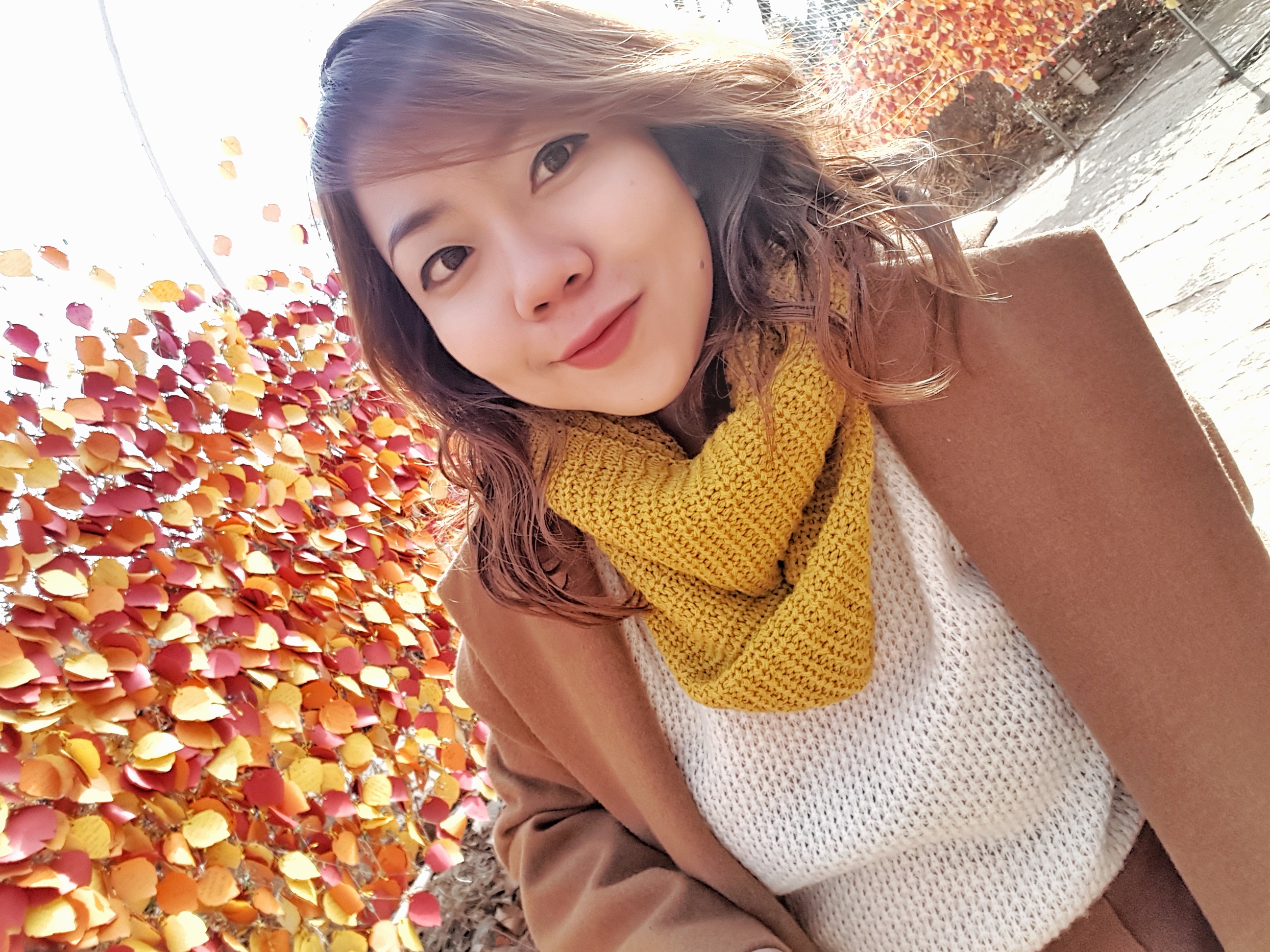 20161123_114230-01[1].jpeg
