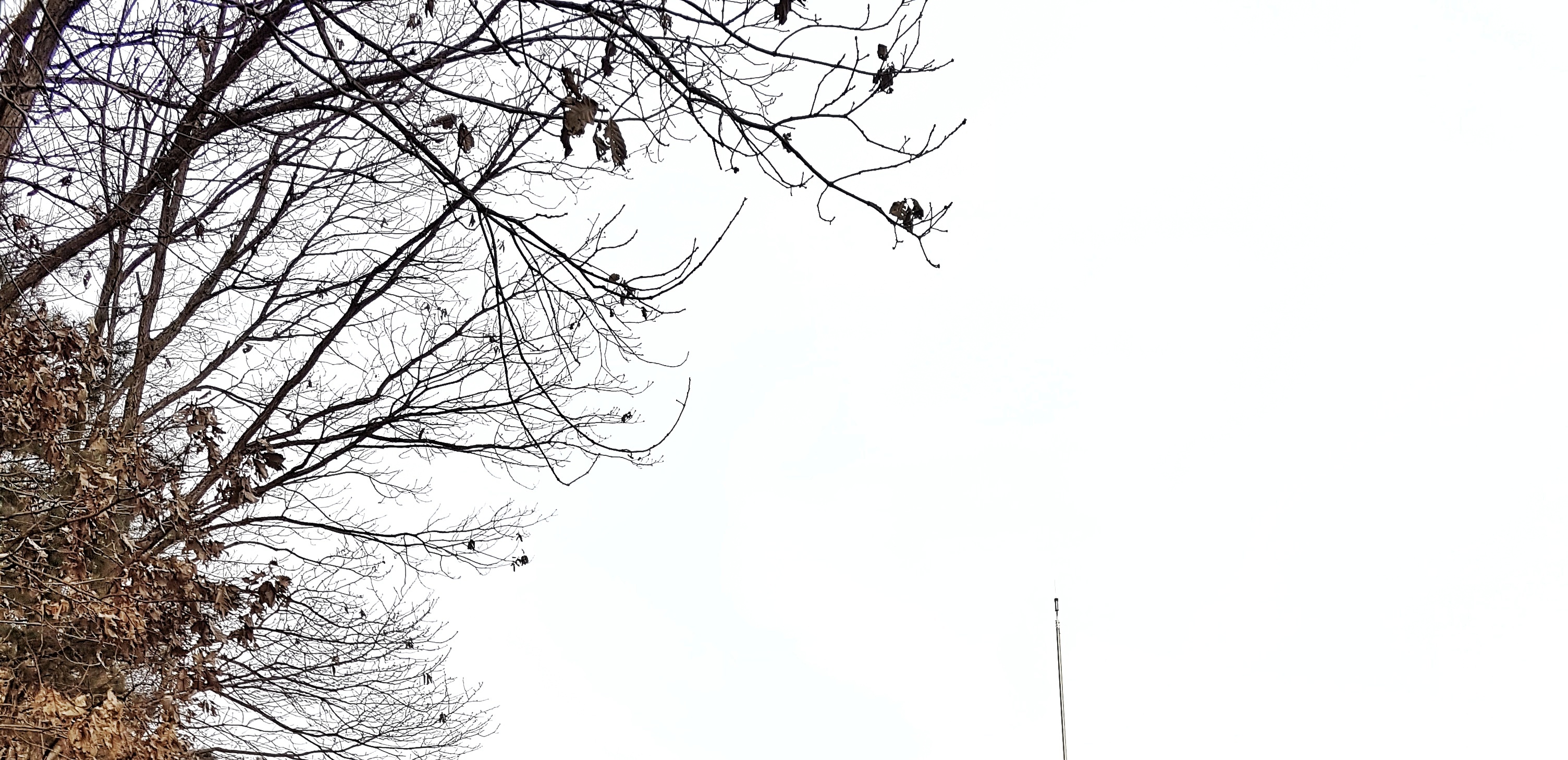 20161123_161416-01-021