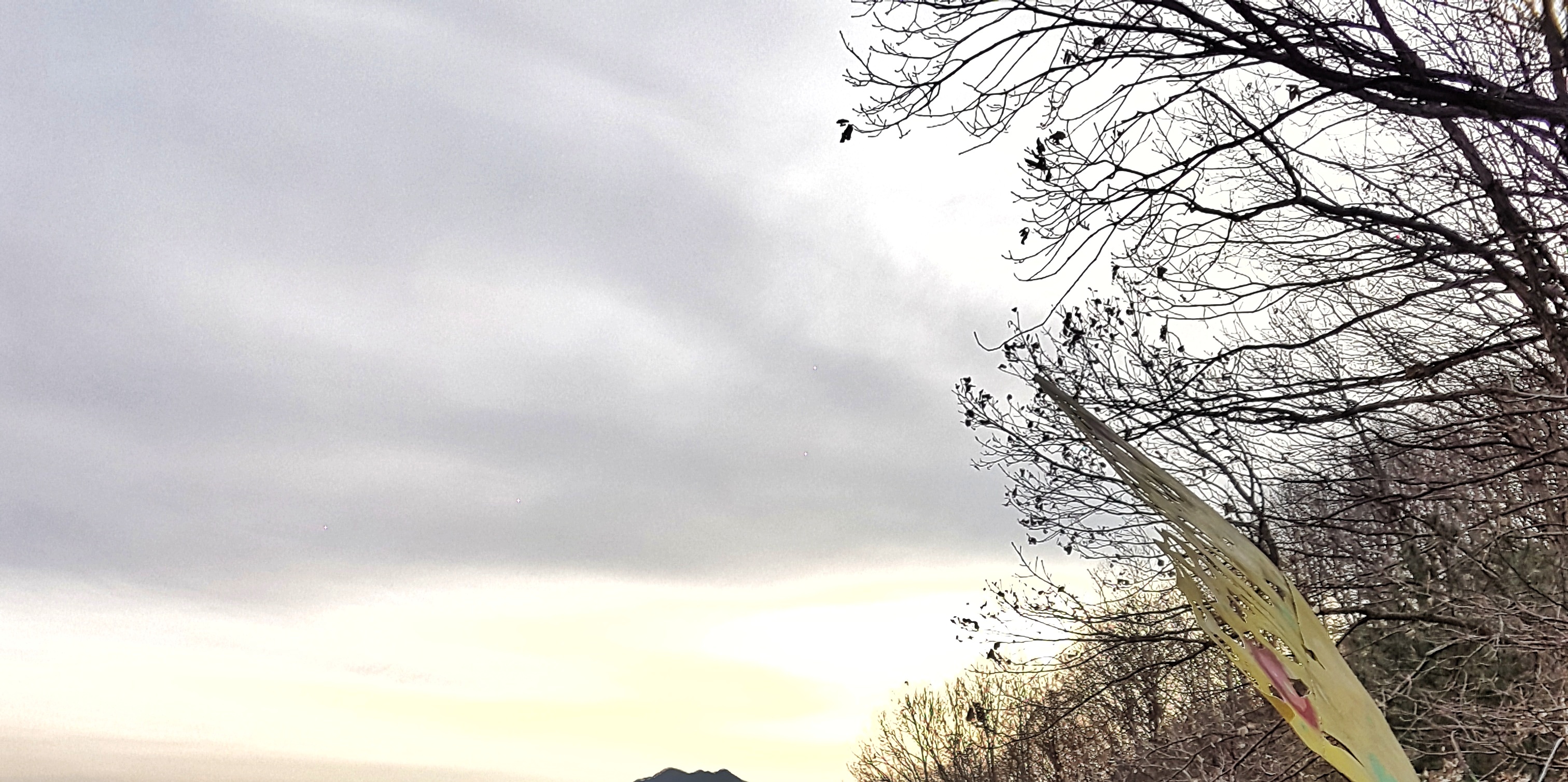20161123_161503-01-022