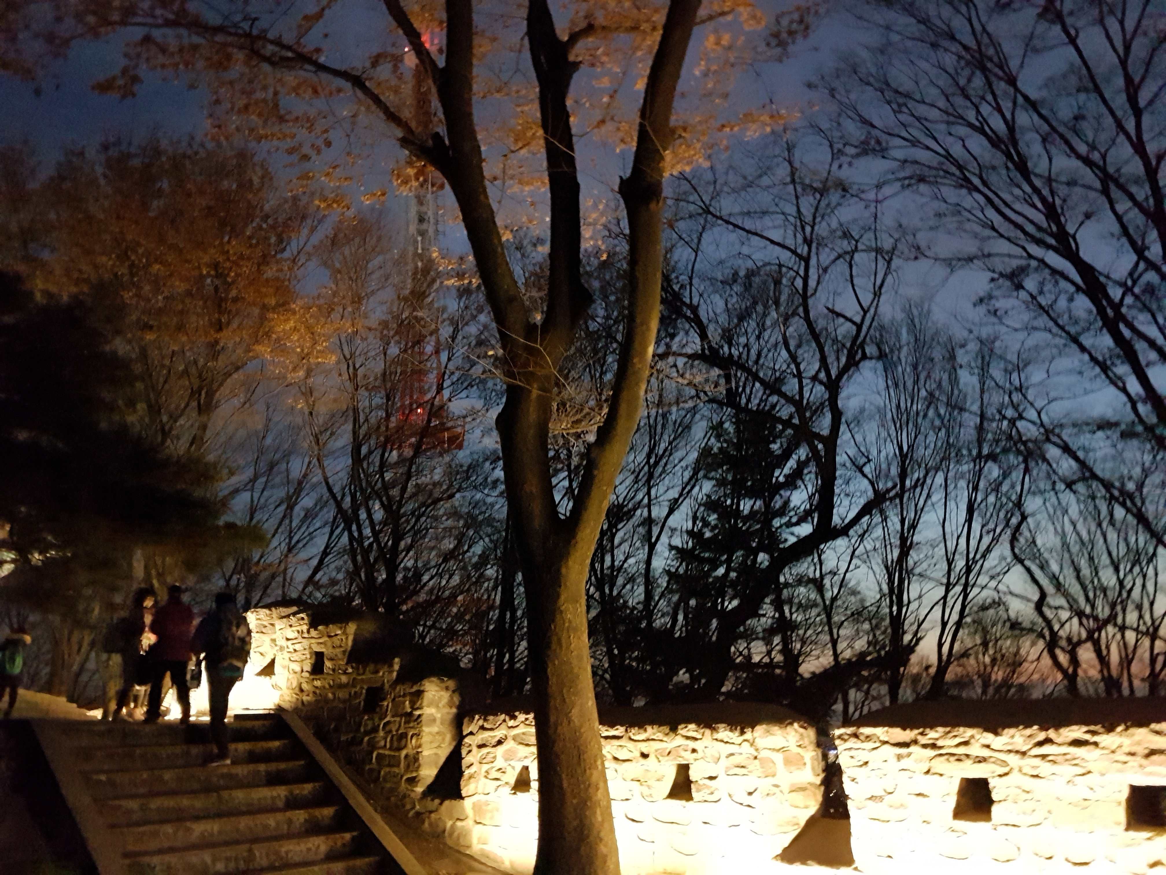 20161122_175406-011