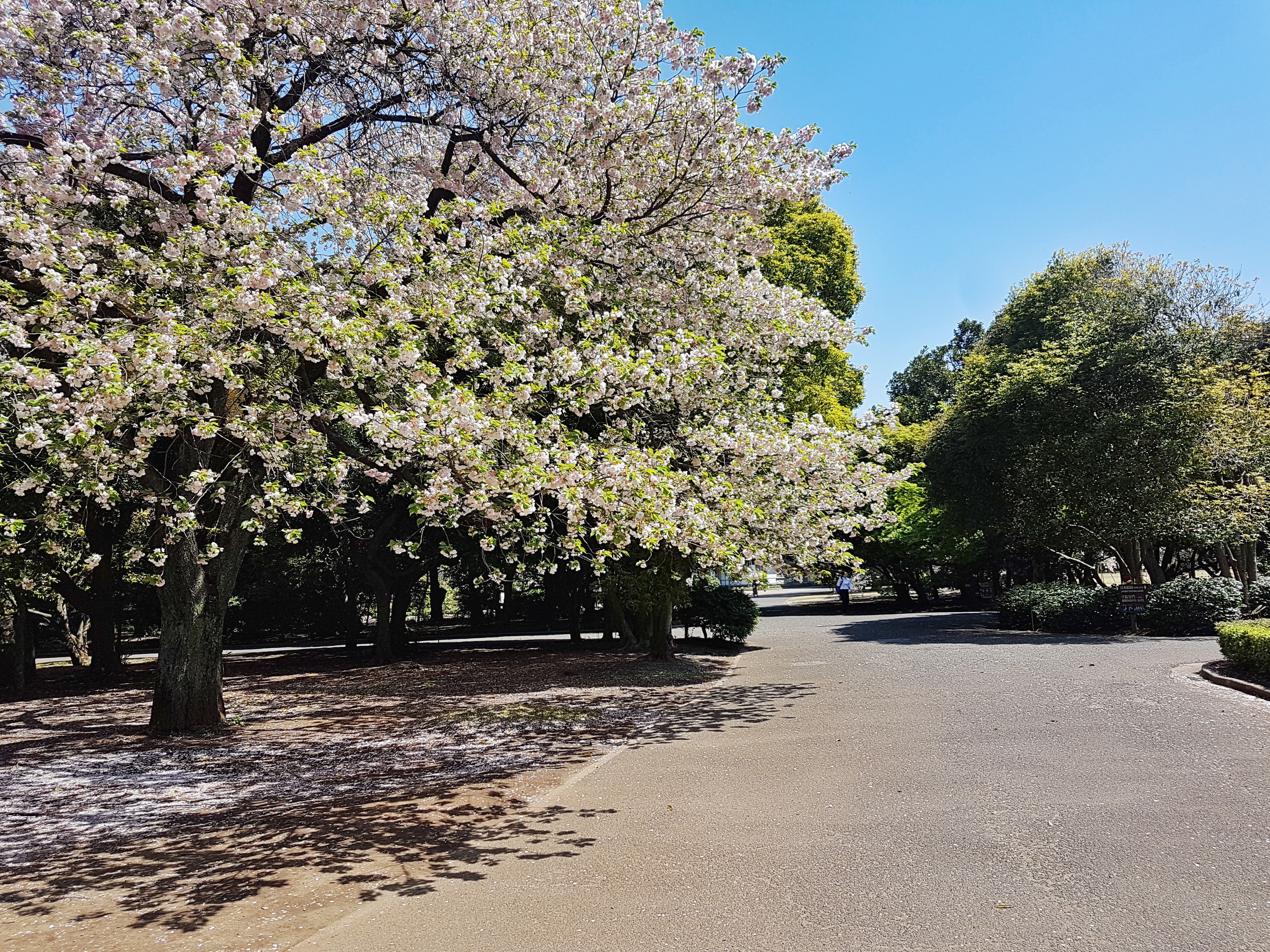 20170419_103150-01[1]