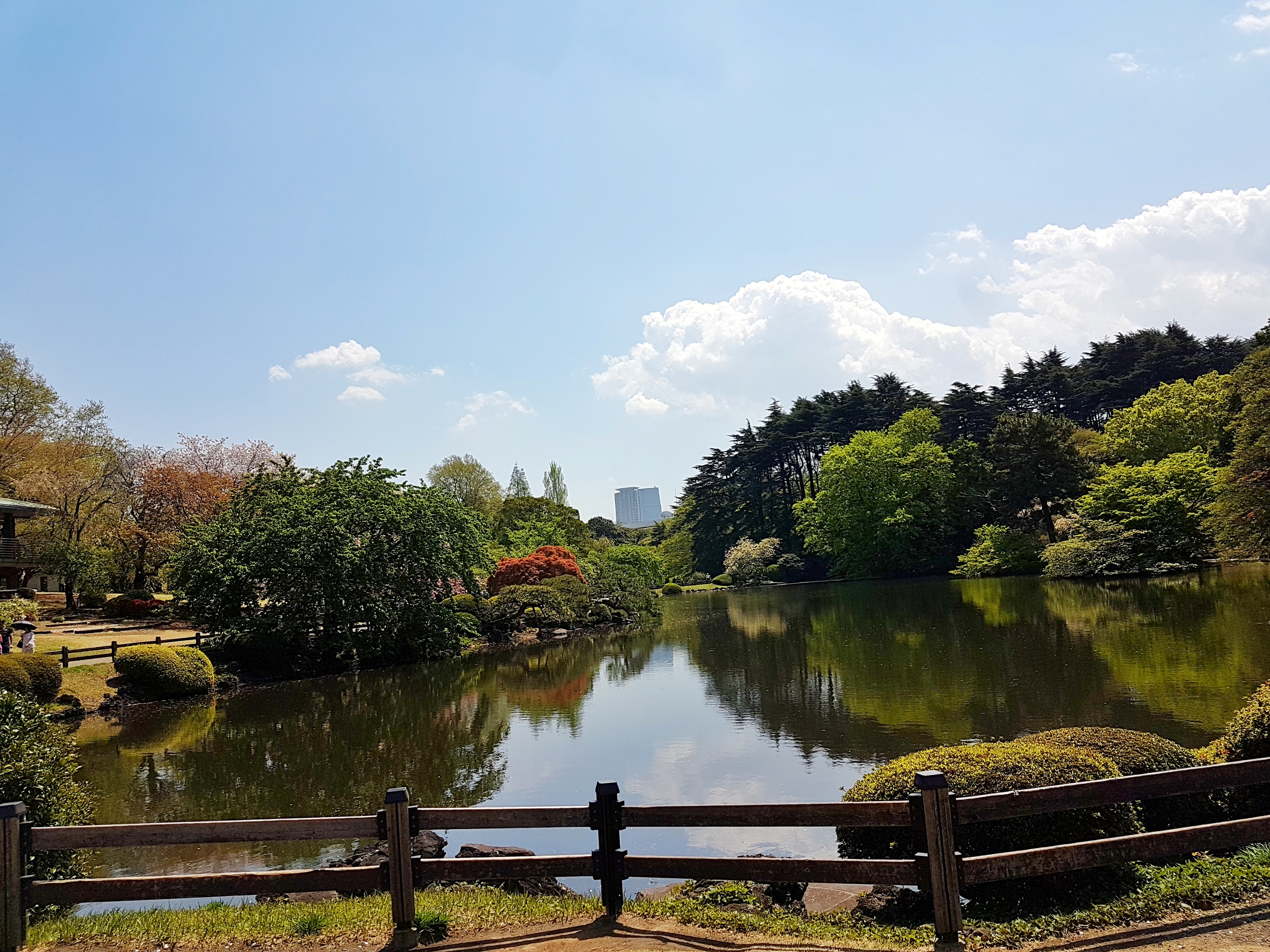 20170419_110650-01[1]