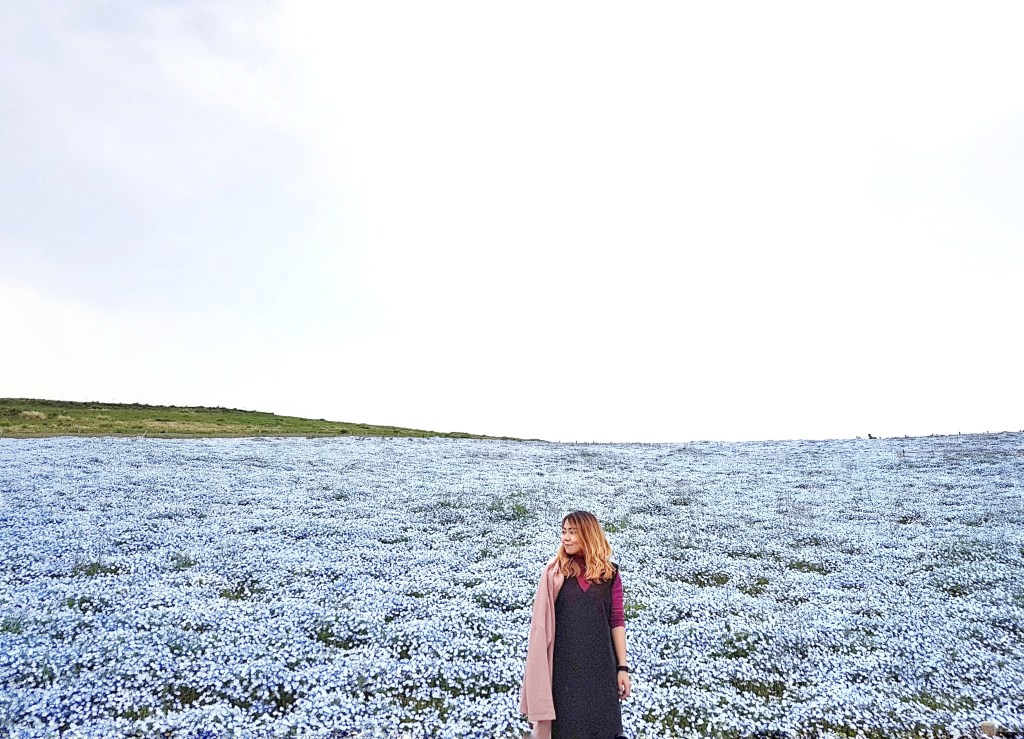 Nemophila Harmony in Hitachi Seaside Park, Ibaraki Prefecture