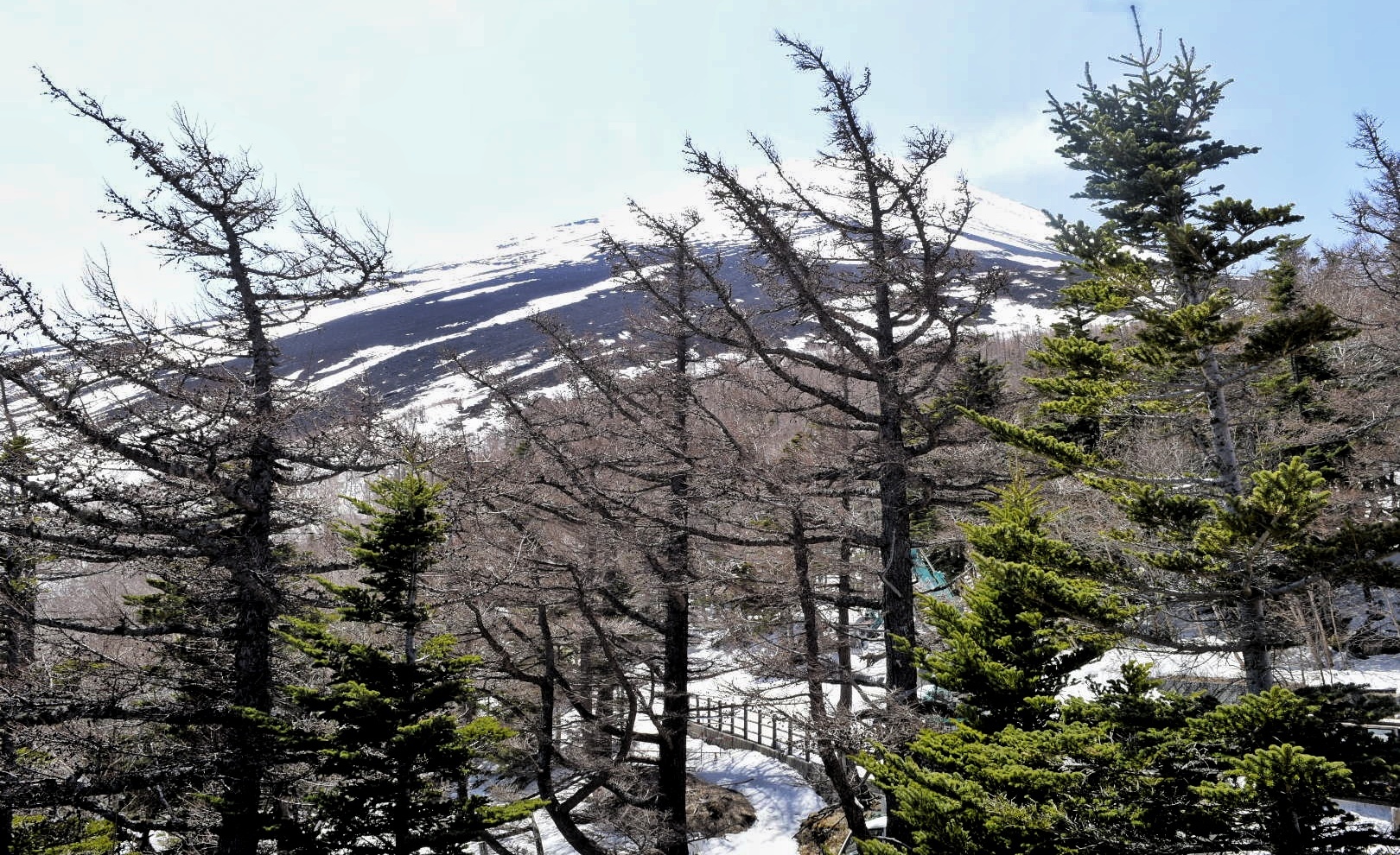 _DSC0185-01-01[1]