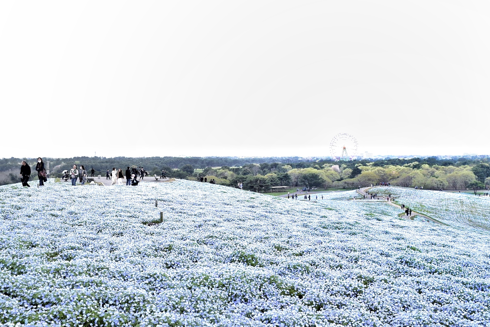 _DSC0440-01-01[1]