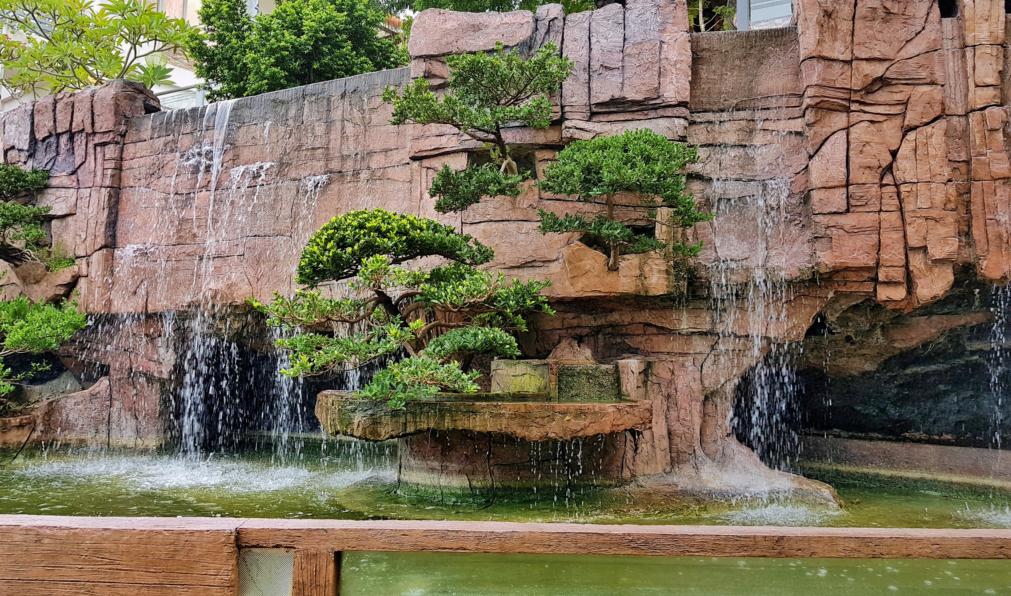 20170702_072446-01[1]