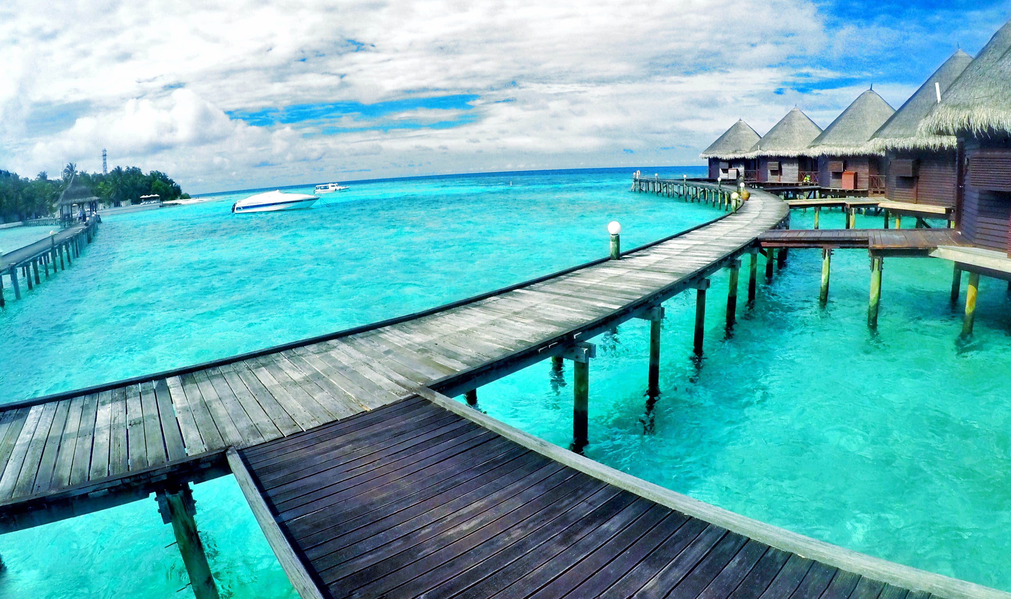 GOPR1273_1485783286574_high-01-01[1]