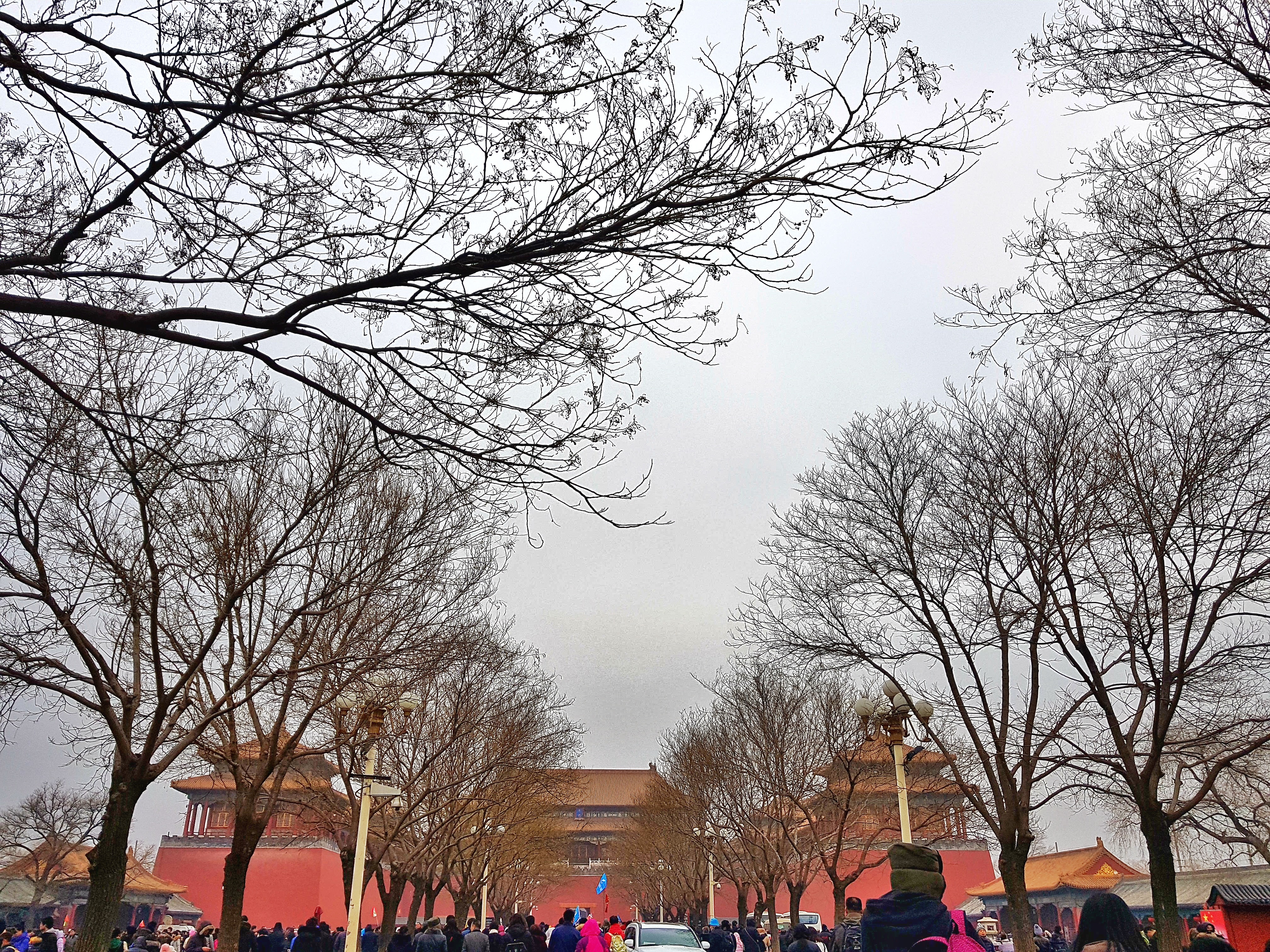 20180217_090634-01[1]